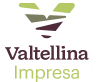Logo Valtellina Imprese